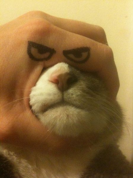 Content Image