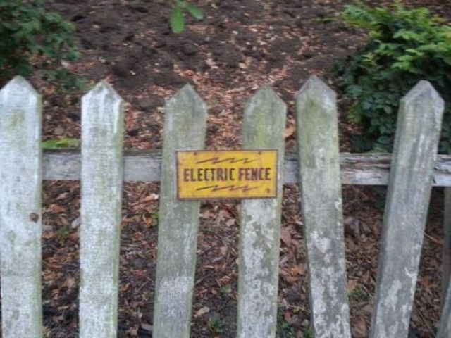 Public Signs: WTF? Part 18