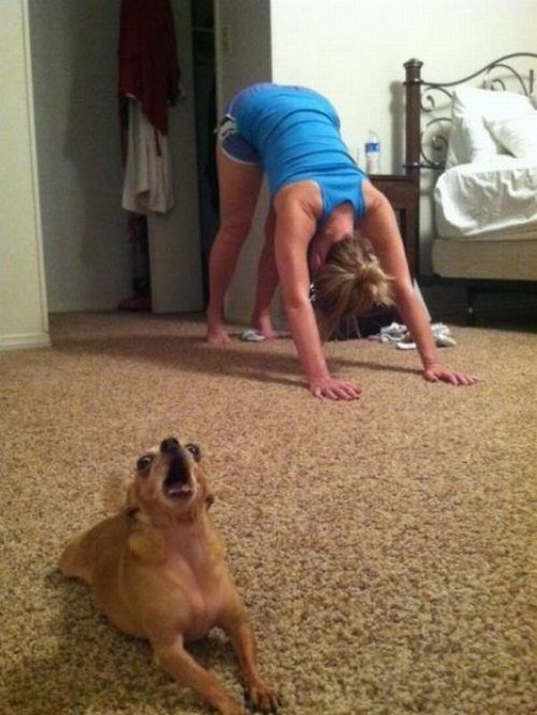 Content Image