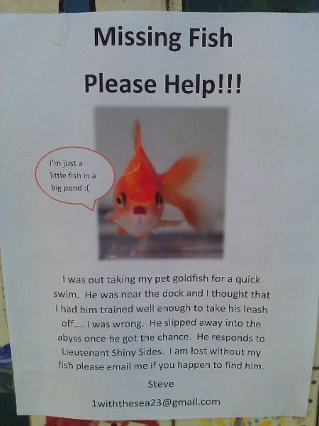 Content Image
