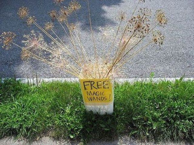 Morning Picdump