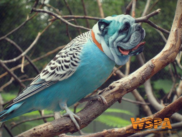 Morning Picdump