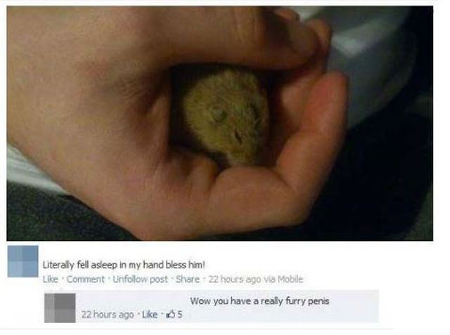 Content Image