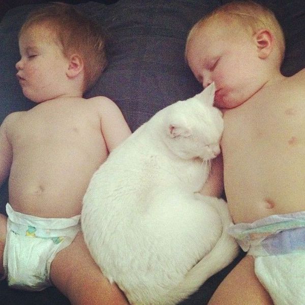 Morning Picdump