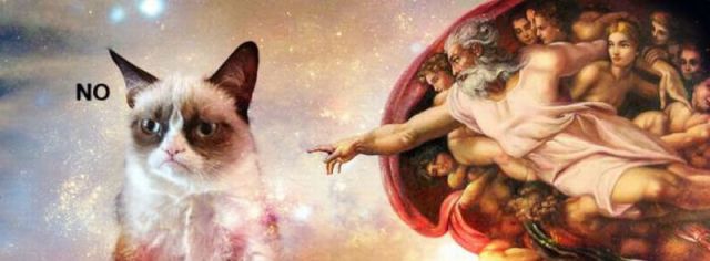 Content Image