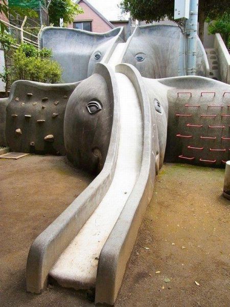 Content Image