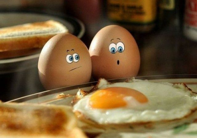 Daily Picdump