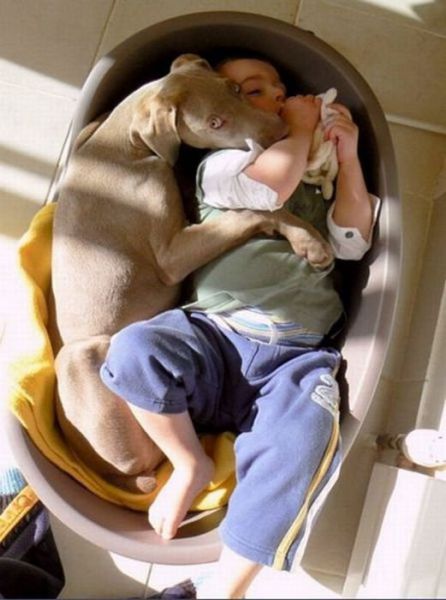 Daily Picdump