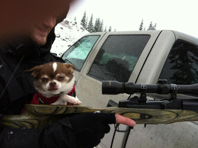 Content Image