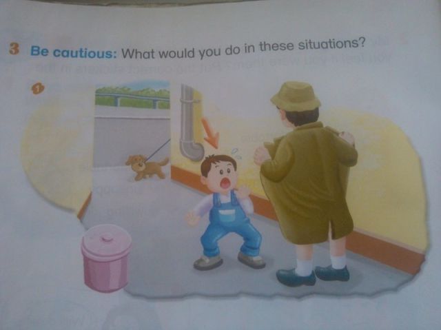 Morning Picdump