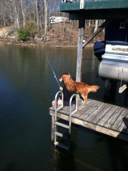 Morning Picdump