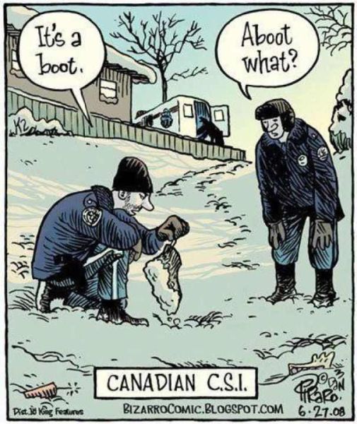 Morning Picdump