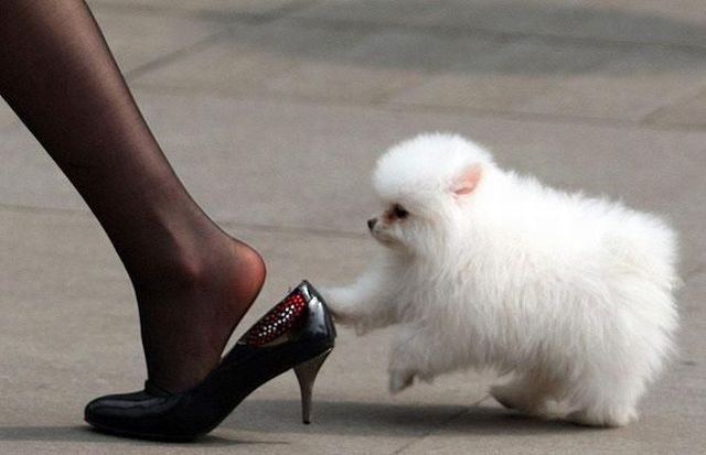 Daily Picdump [WEEKEND EDITION]
