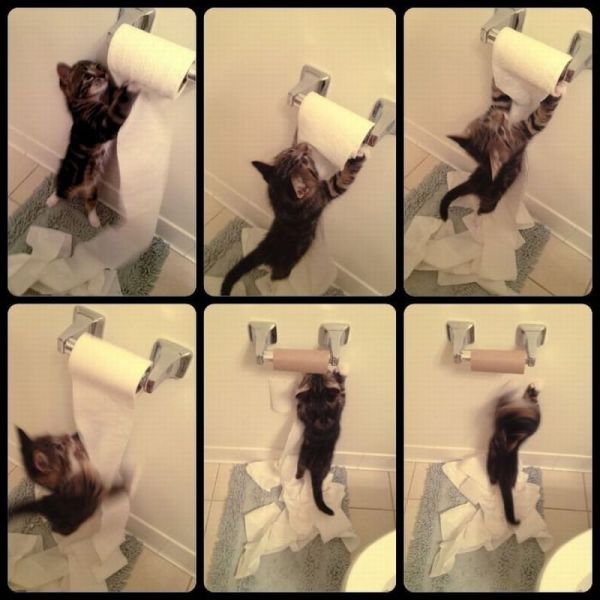 Daily Picdump [WEEKEND EDITION]