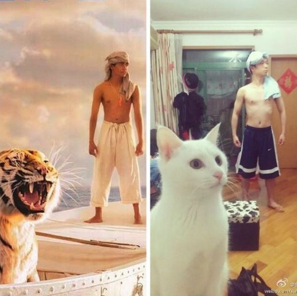 Daily Picdump