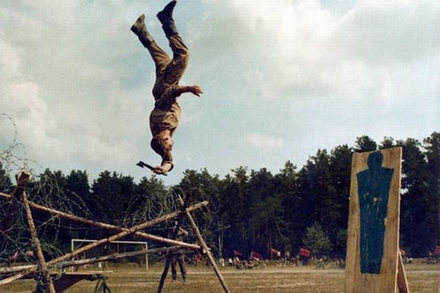 Daily Picdump