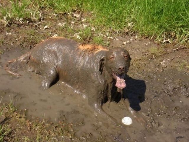 Daily Picdump [WEEKEND EDITION]
