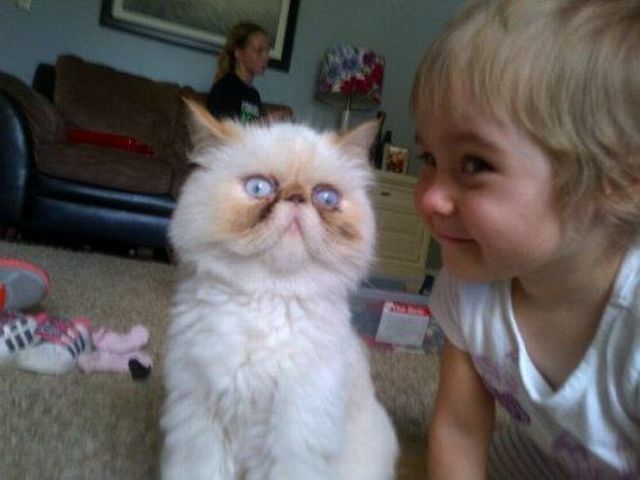 Morning Picdump