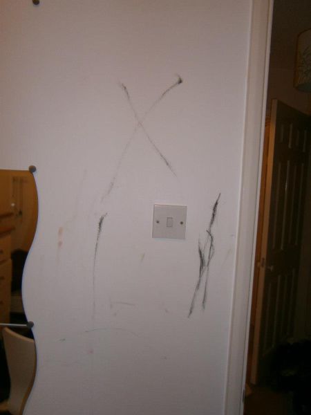 College House Party After-effects