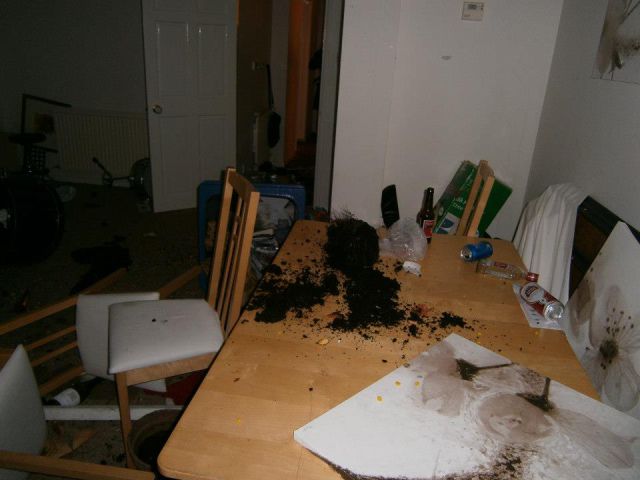 College House Party After-effects