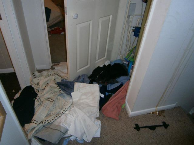 College House Party After-effects
