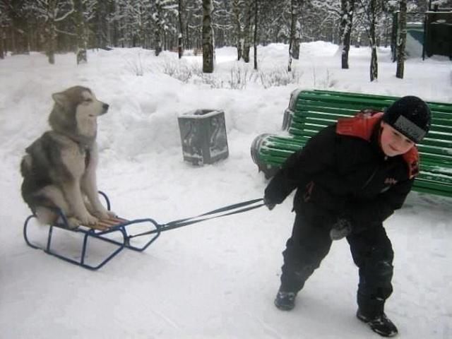 Morning Picdump