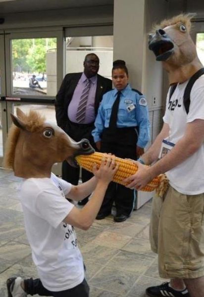 Content Image
