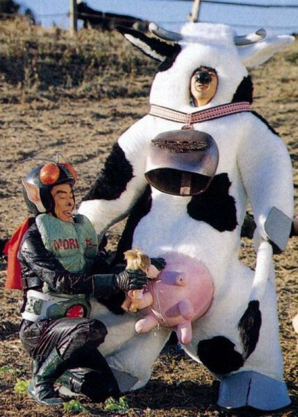 Content Image
