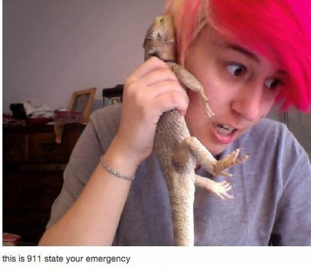 Content Image
