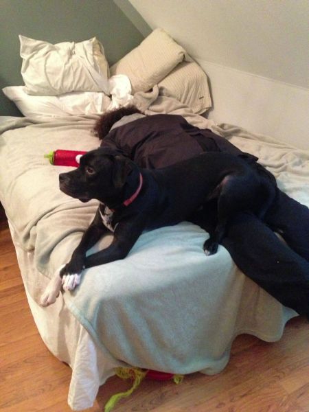 Content Image