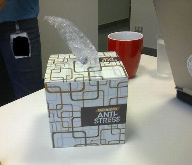 Morning Picdump