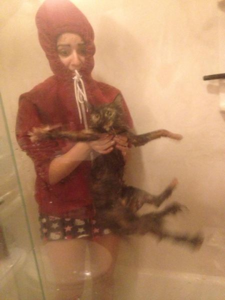 Content Image