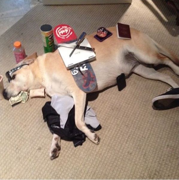 Content Image