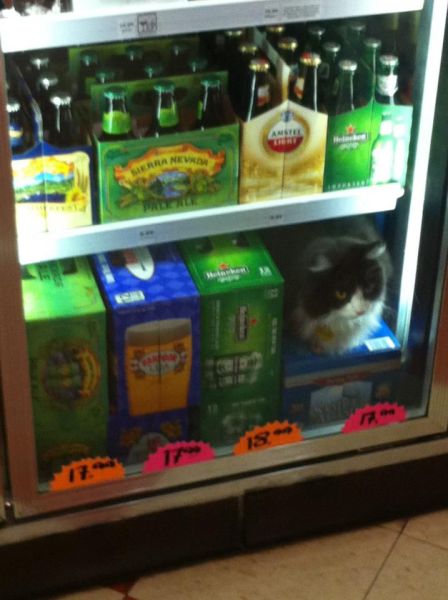 Daily Picdump