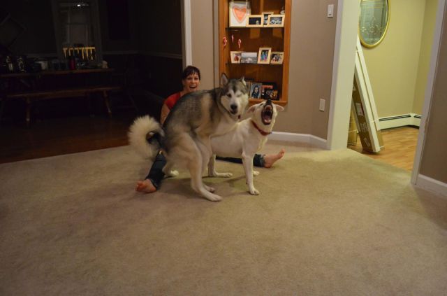 Daily Picdump