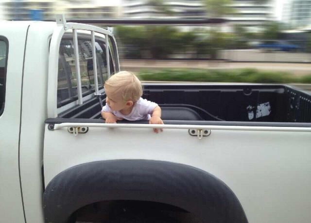 Daily Picdump