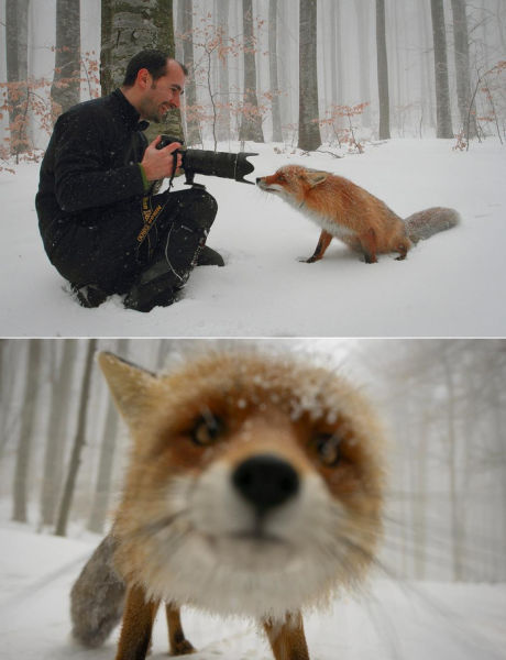 Daily Picdump