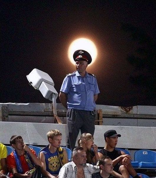 Daily Picdump