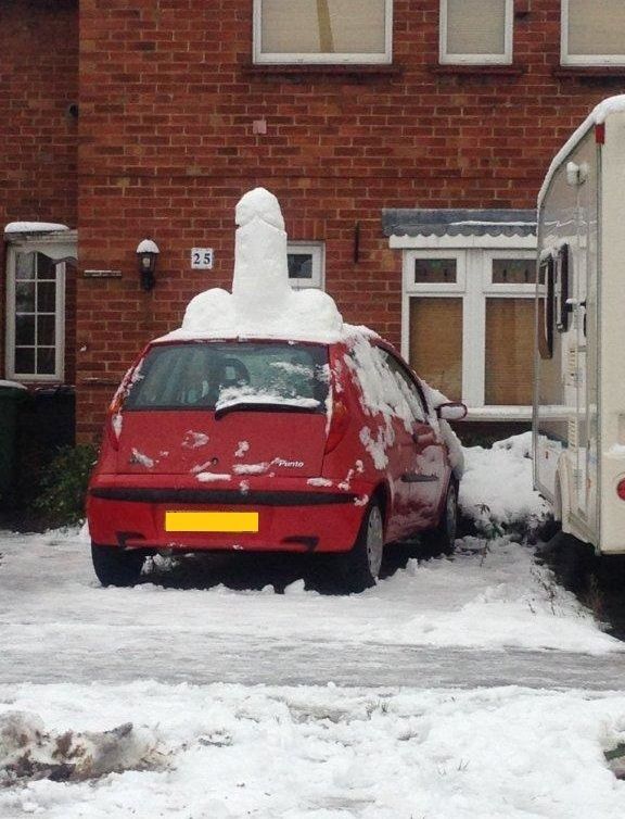 Morning Picdump