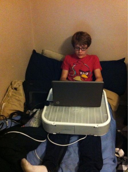 Morning Picdump