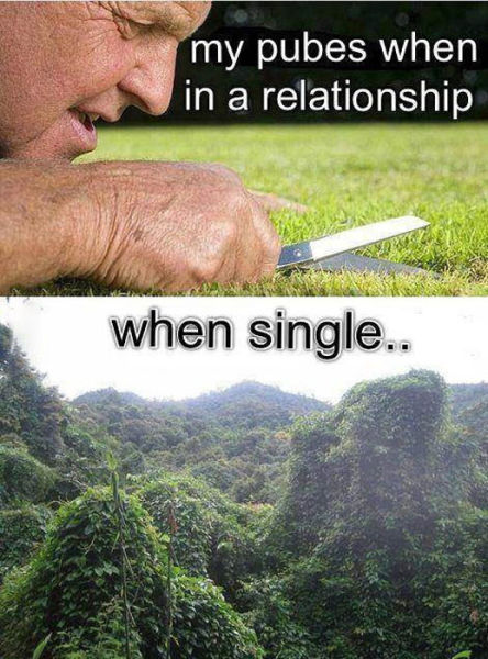 Funny Picdump