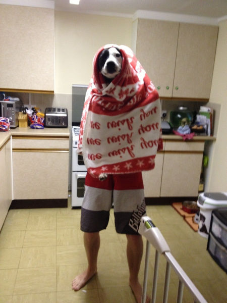 Funny Picdump