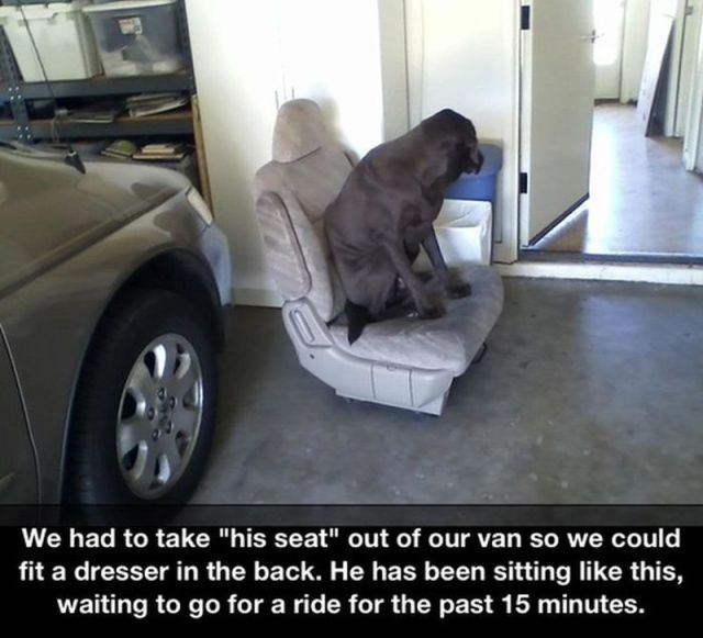 Morning Picdump