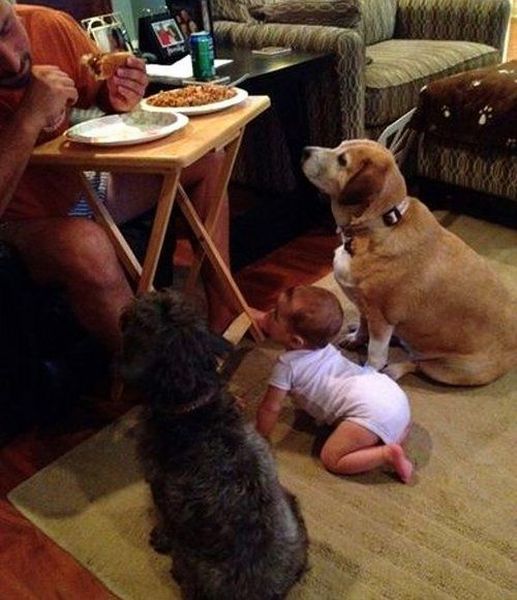 Daily Picdump