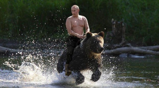 Daily Picdump