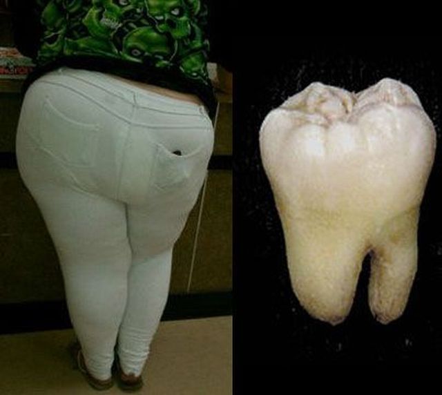Daily Picdump