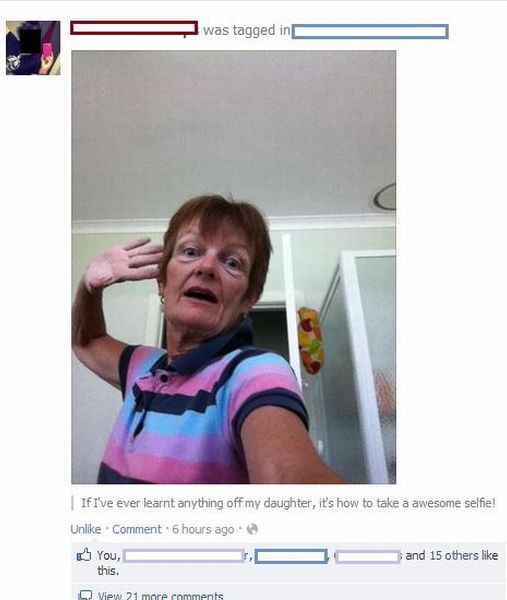 Daily Picdump