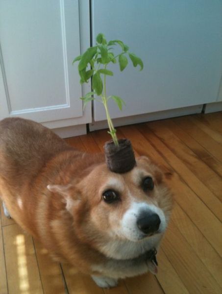 Daily Picdump