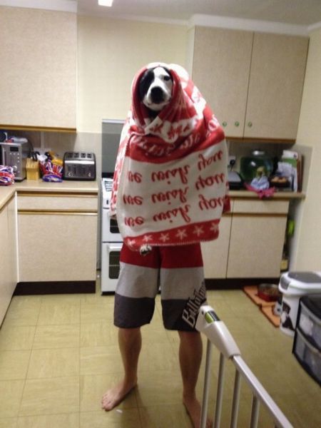 Daily Picdump