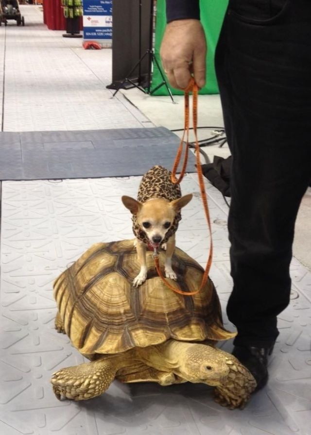 Daily Picdump